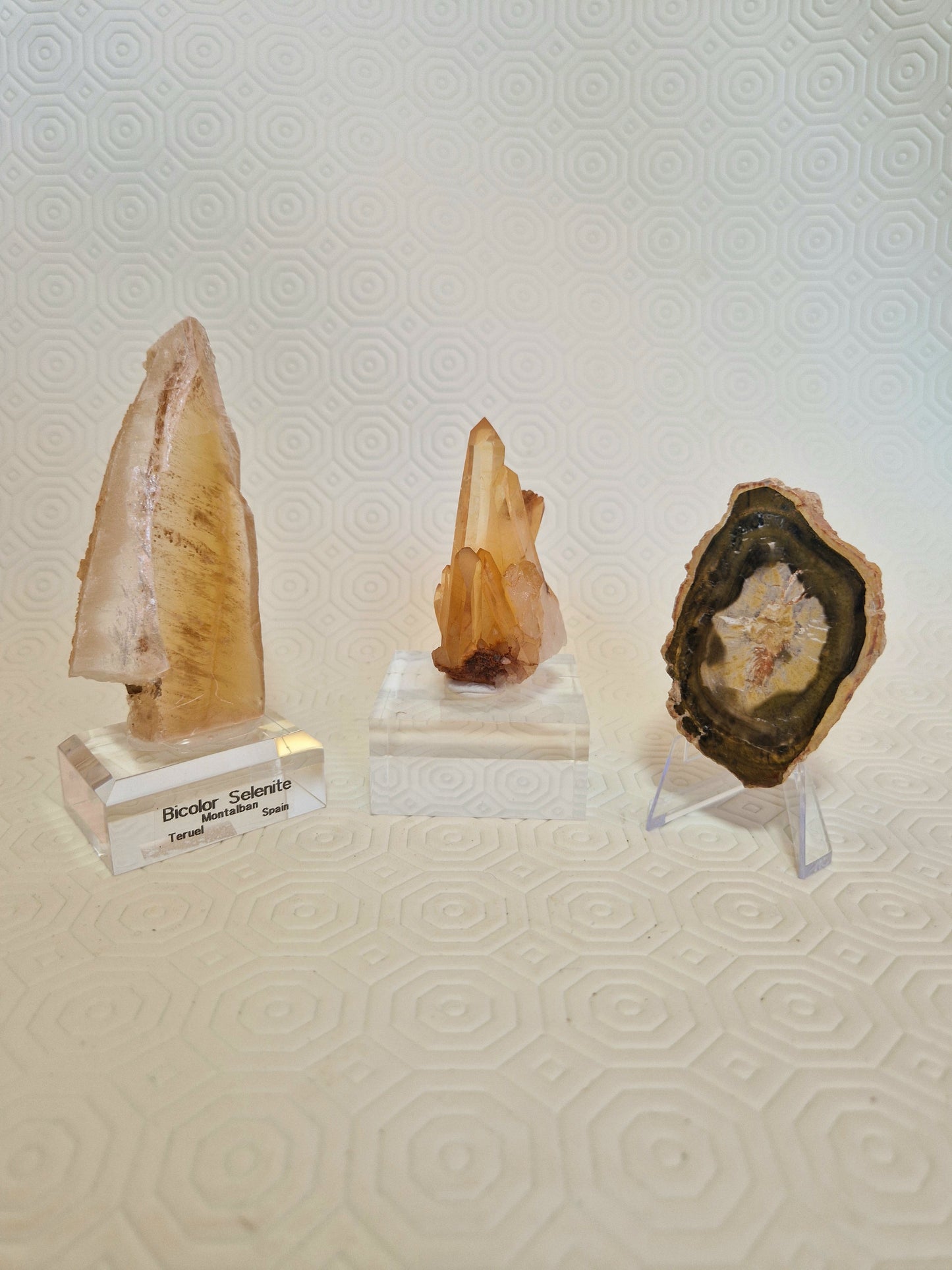 Ordine Live Sale 'saverose'