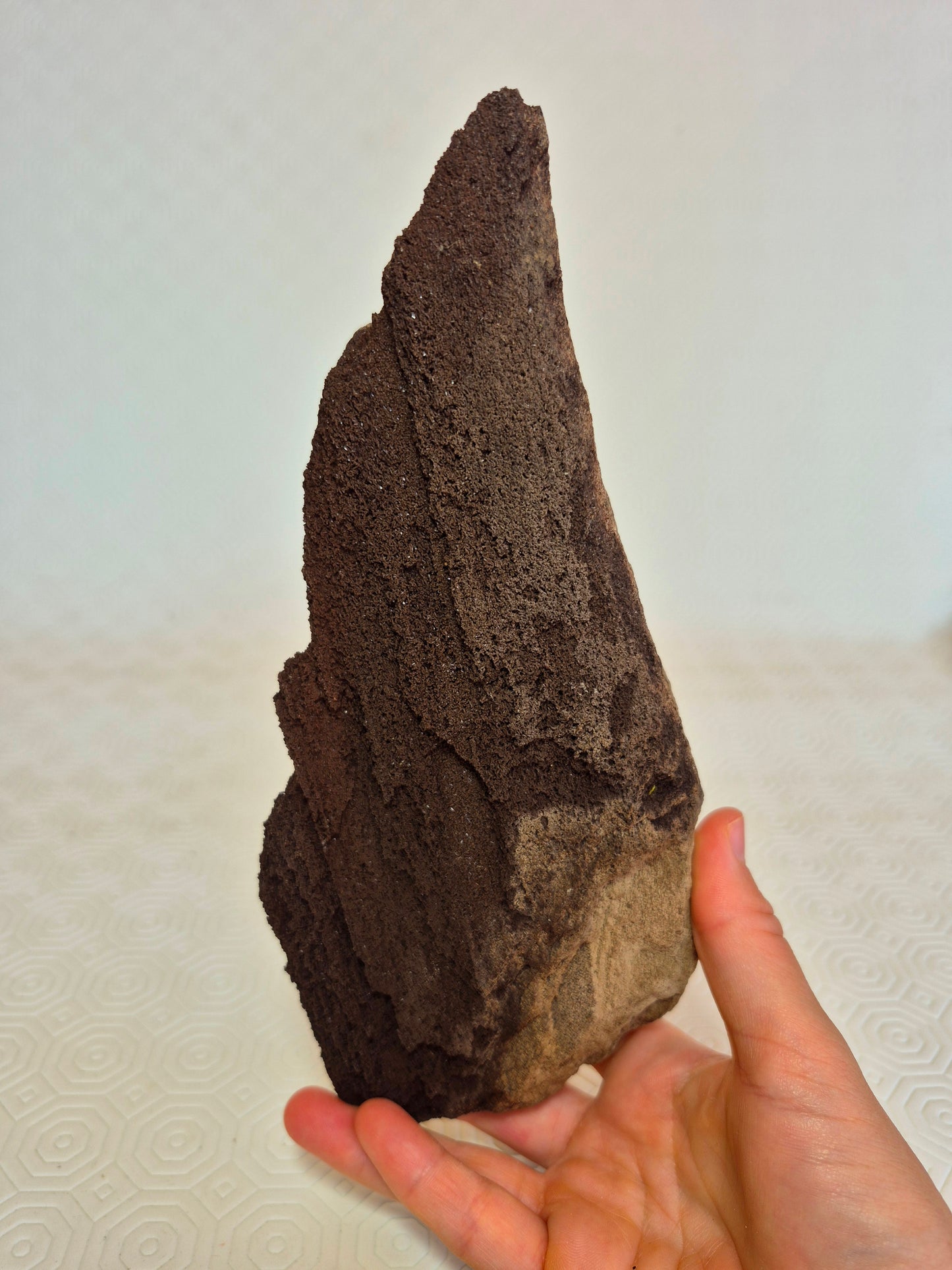 Legno permineralizzato con quarzo