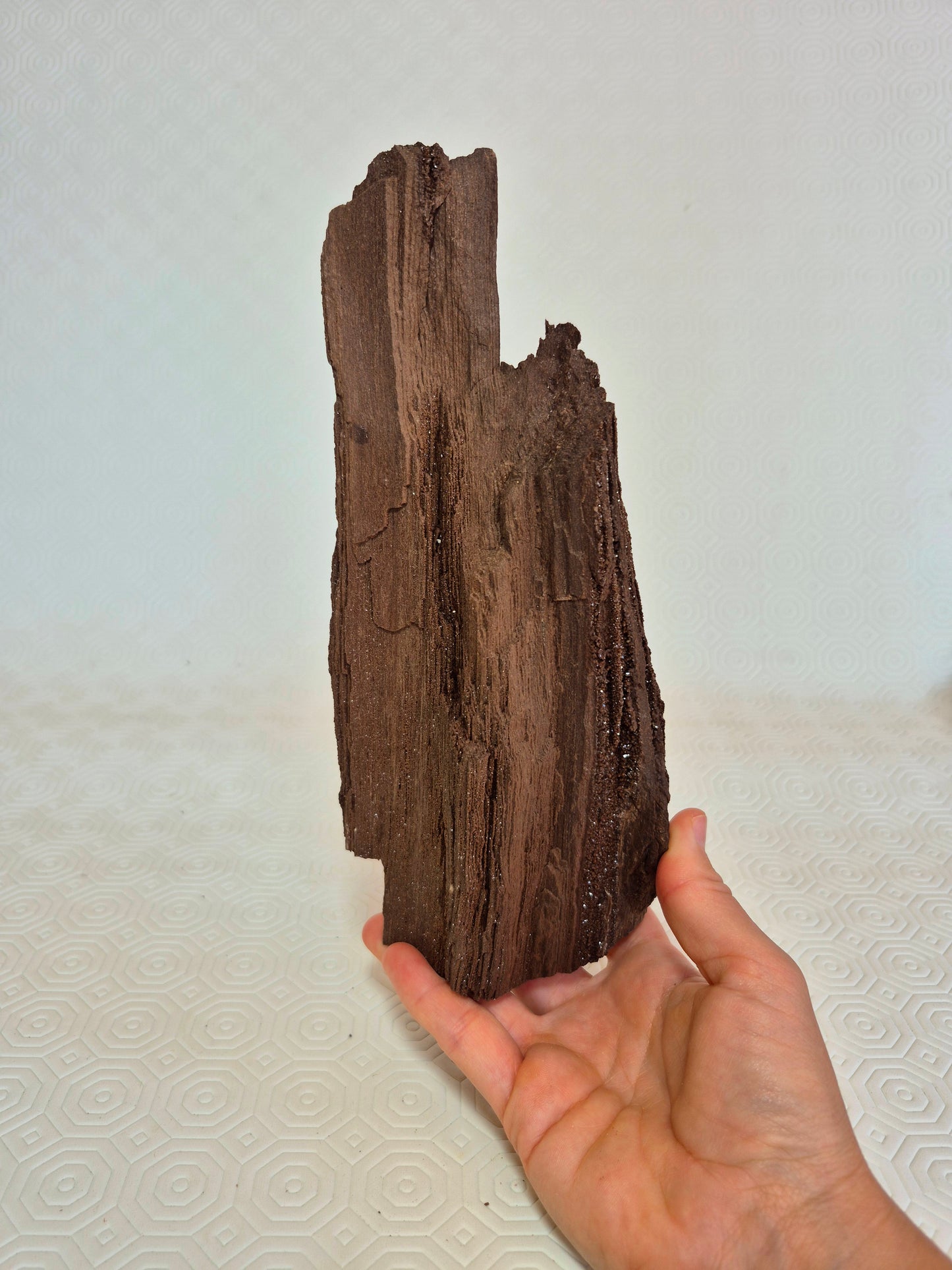 Legno permineralizzato con quarzo