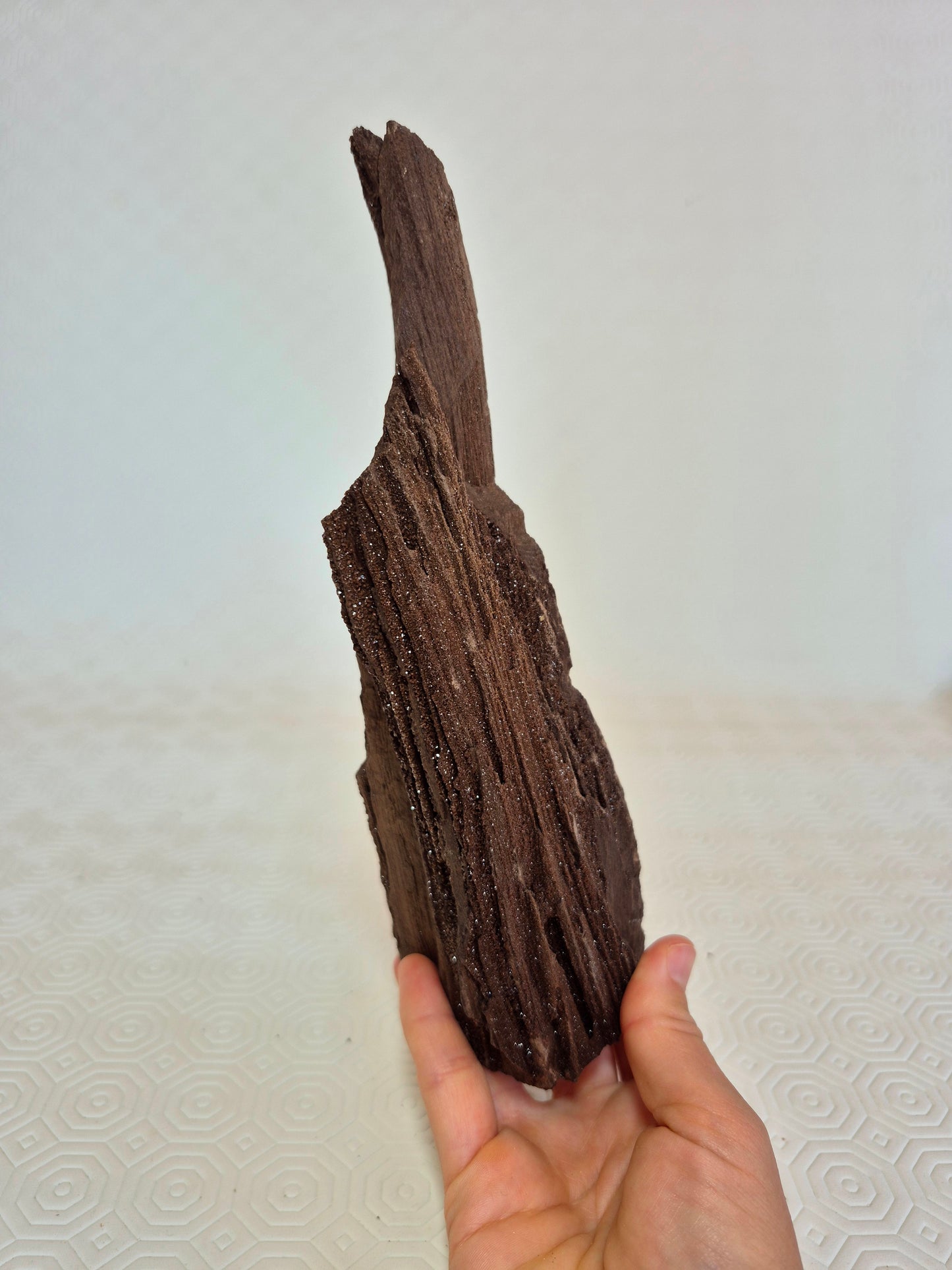 Legno permineralizzato con quarzo
