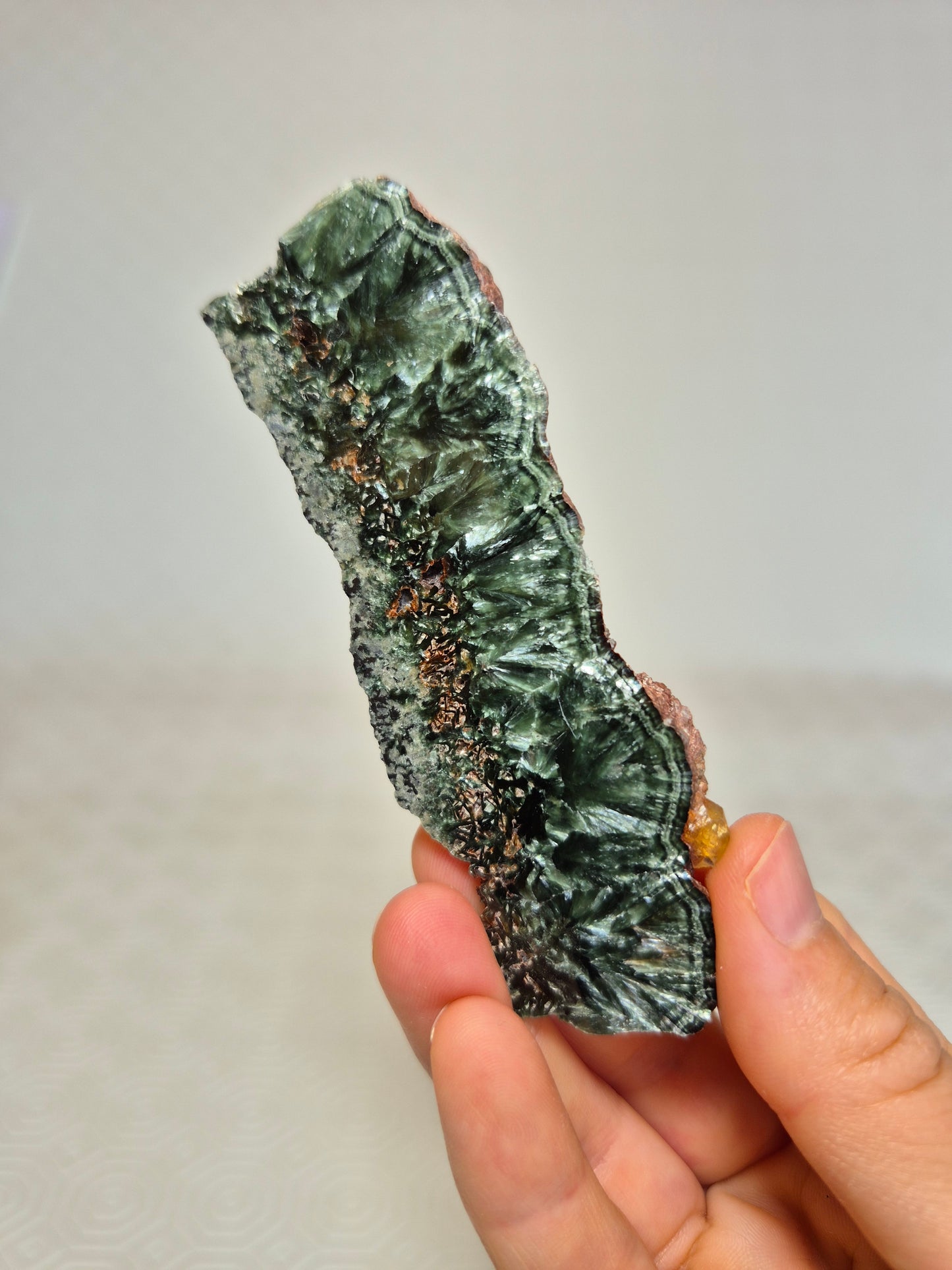 Fetta di Serafinite