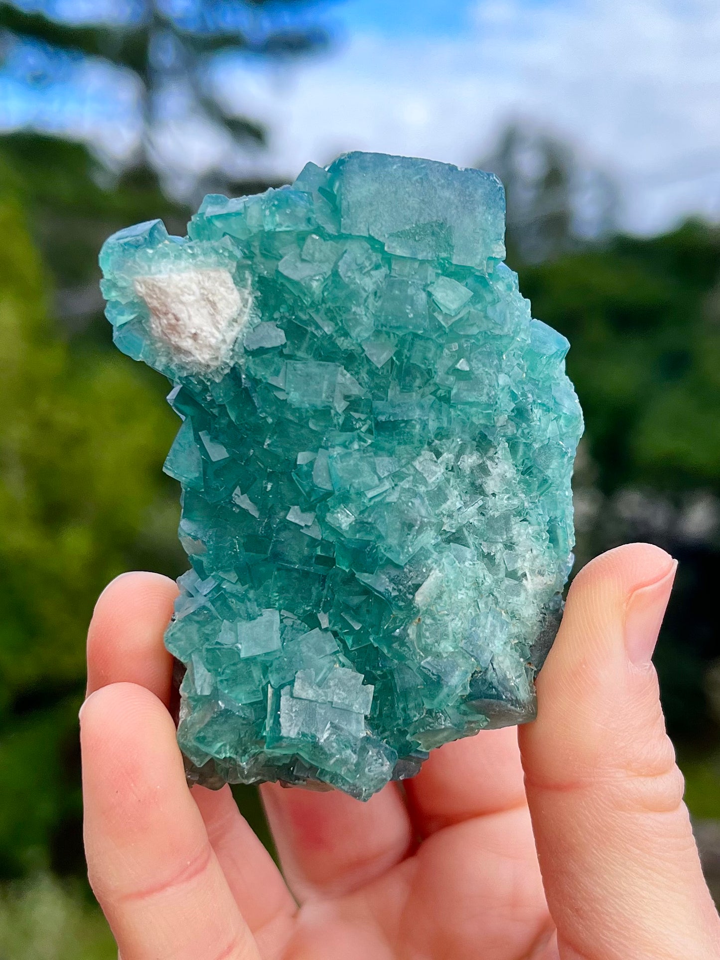 Fluorite cubica verde/blu