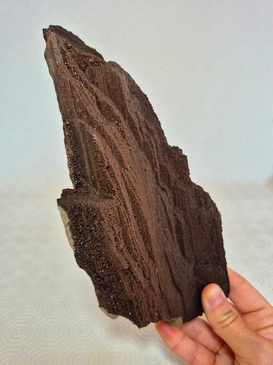 Legno permineralizzato con quarzo