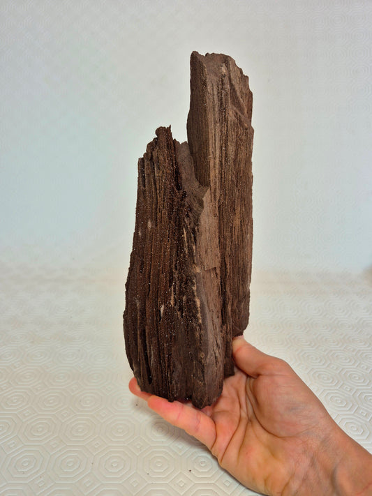Legno permineralizzato con quarzo