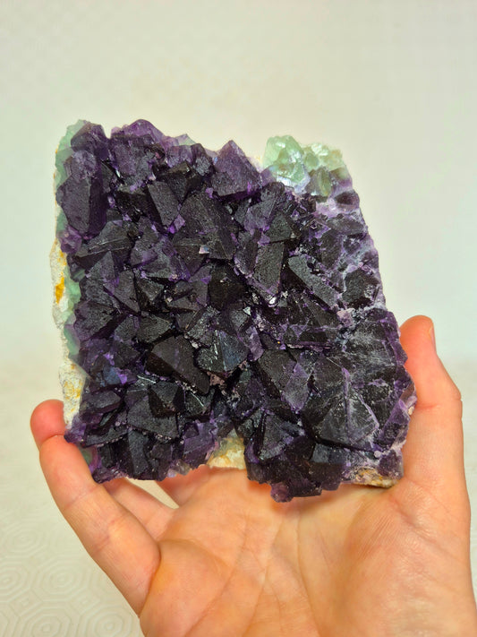 Fluorite ottaedrica bicolore