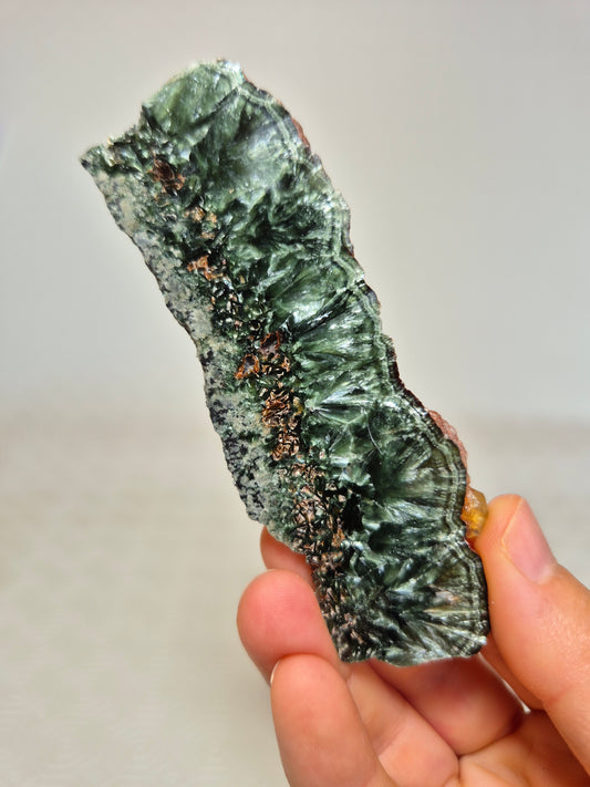 Fetta di Serafinite