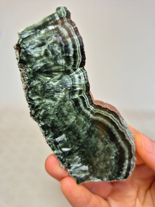 Fetta di Serafinite
