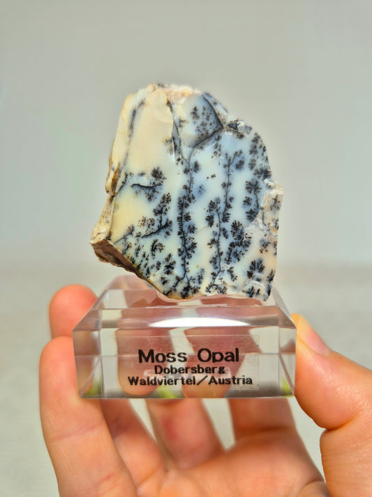 Opale Dendritico