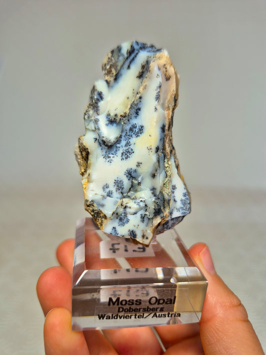 Opale dendritico