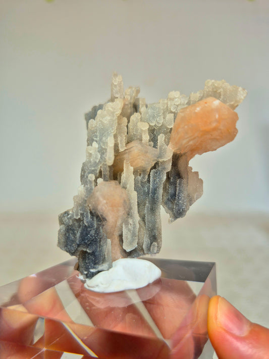 Stilbite su stalattiti di Calcedonio