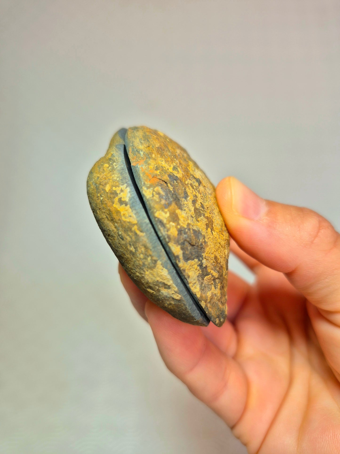 Nodulo di septaria