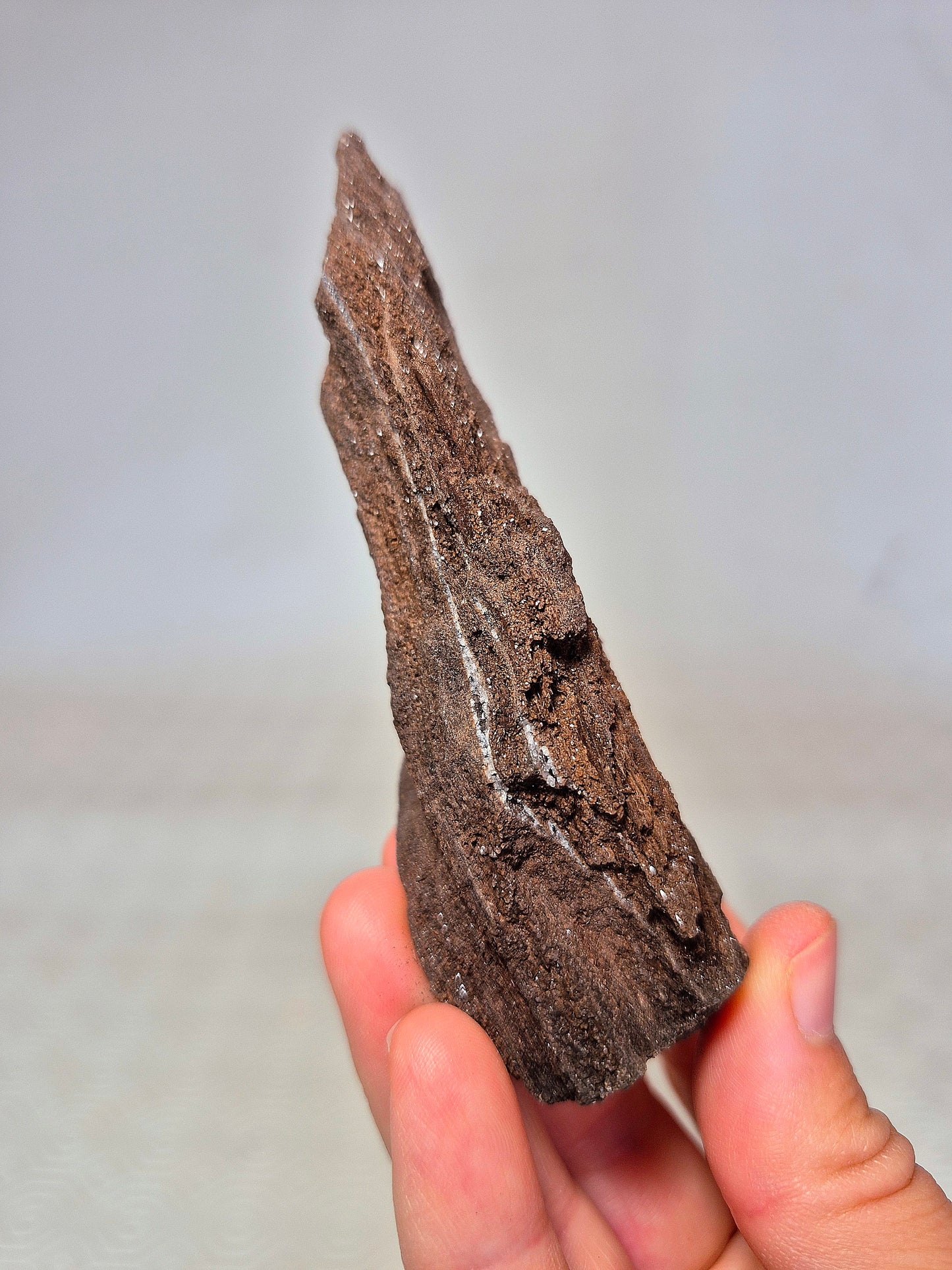 Legno Permineralizzato con Quarzo