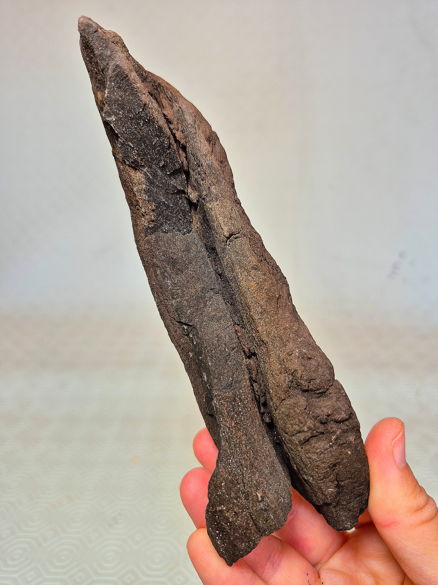 Legno Permineralizzato con Quarzo