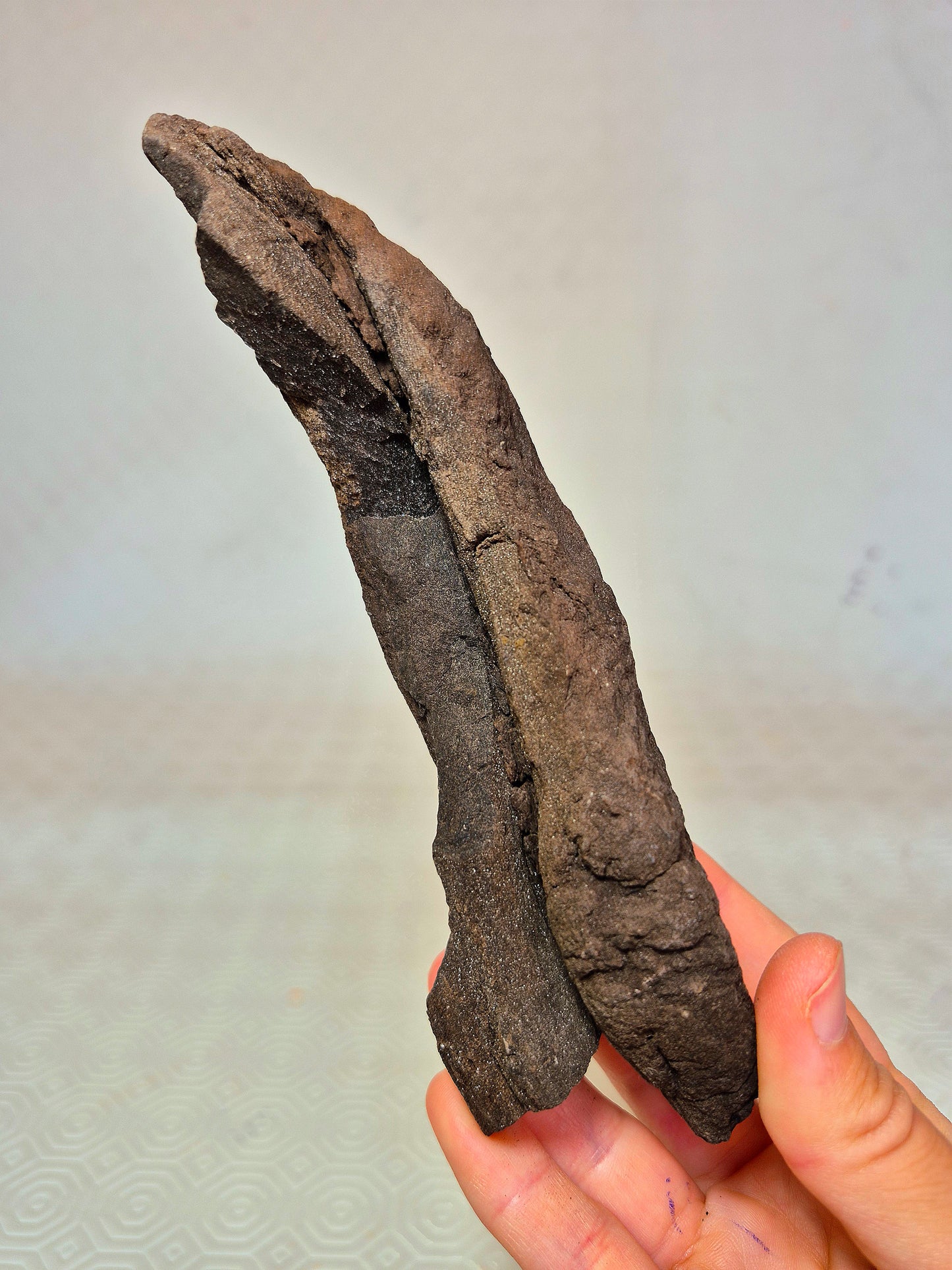 Legno Permineralizzato con Quarzo