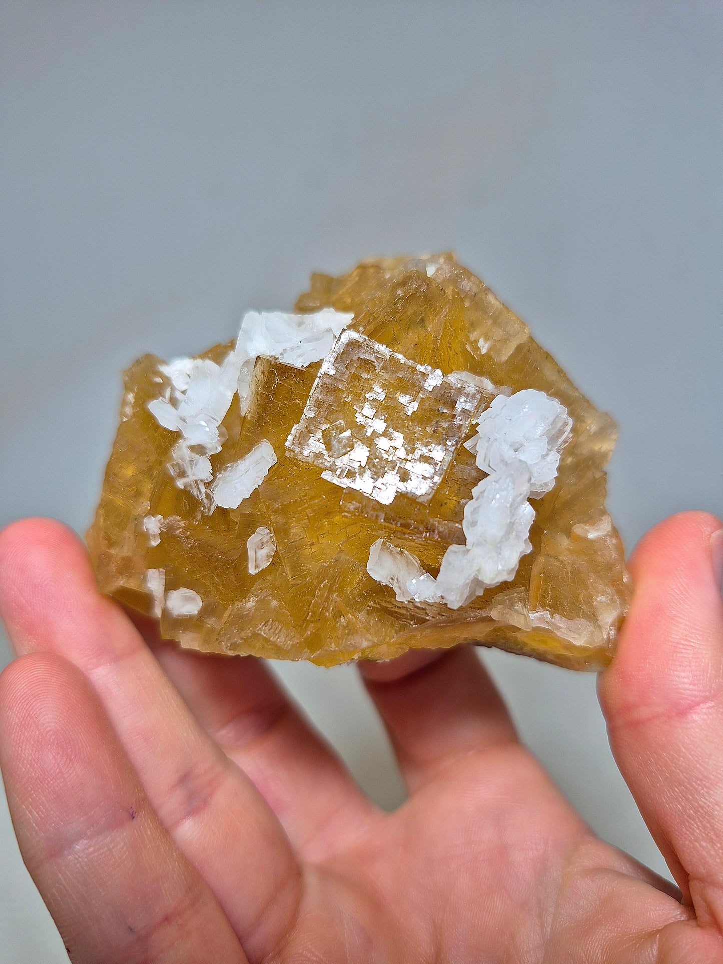 Fluorite Cubica Gialla con Barite