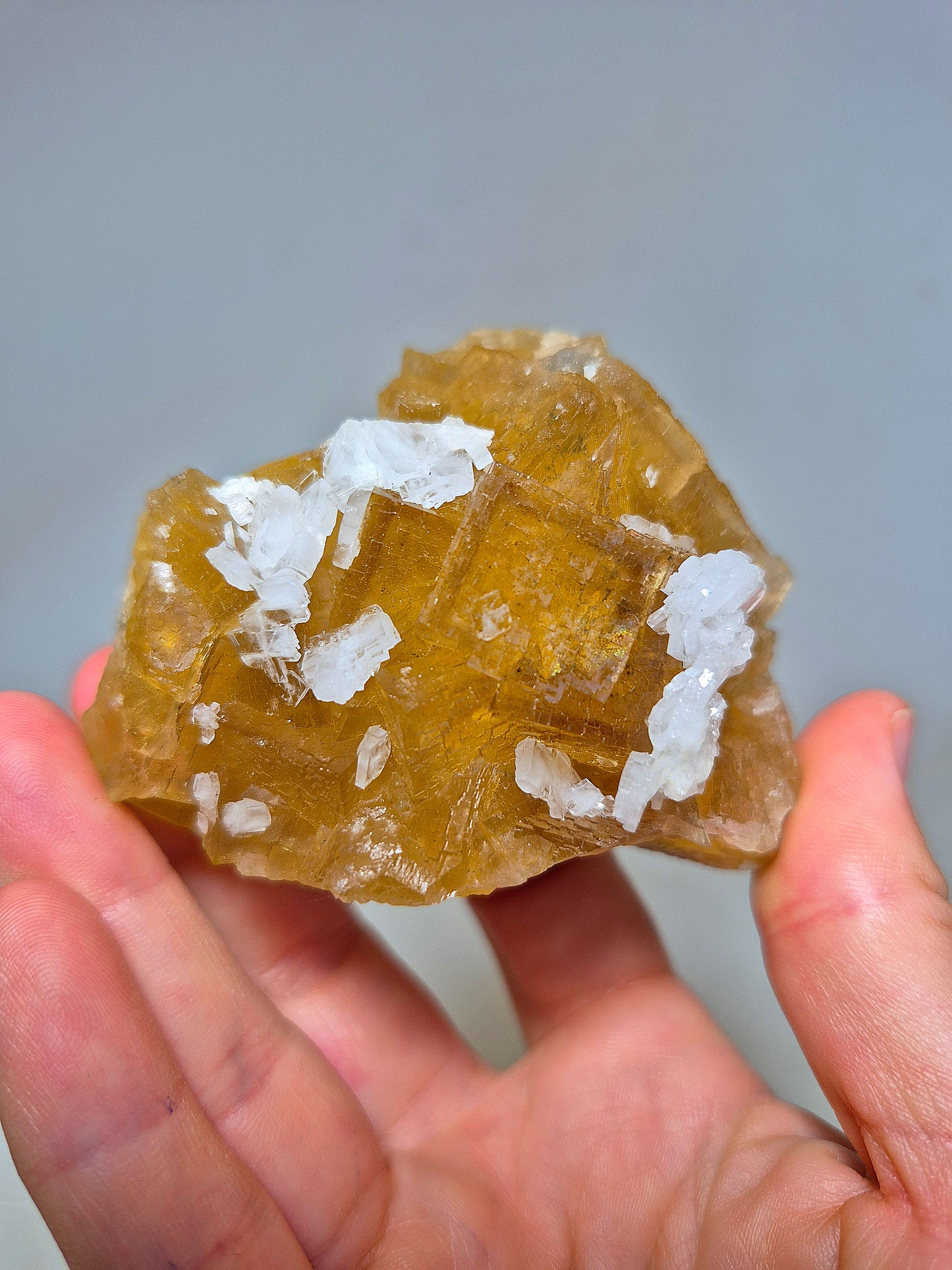 Fluorite Cubica Gialla con Barite