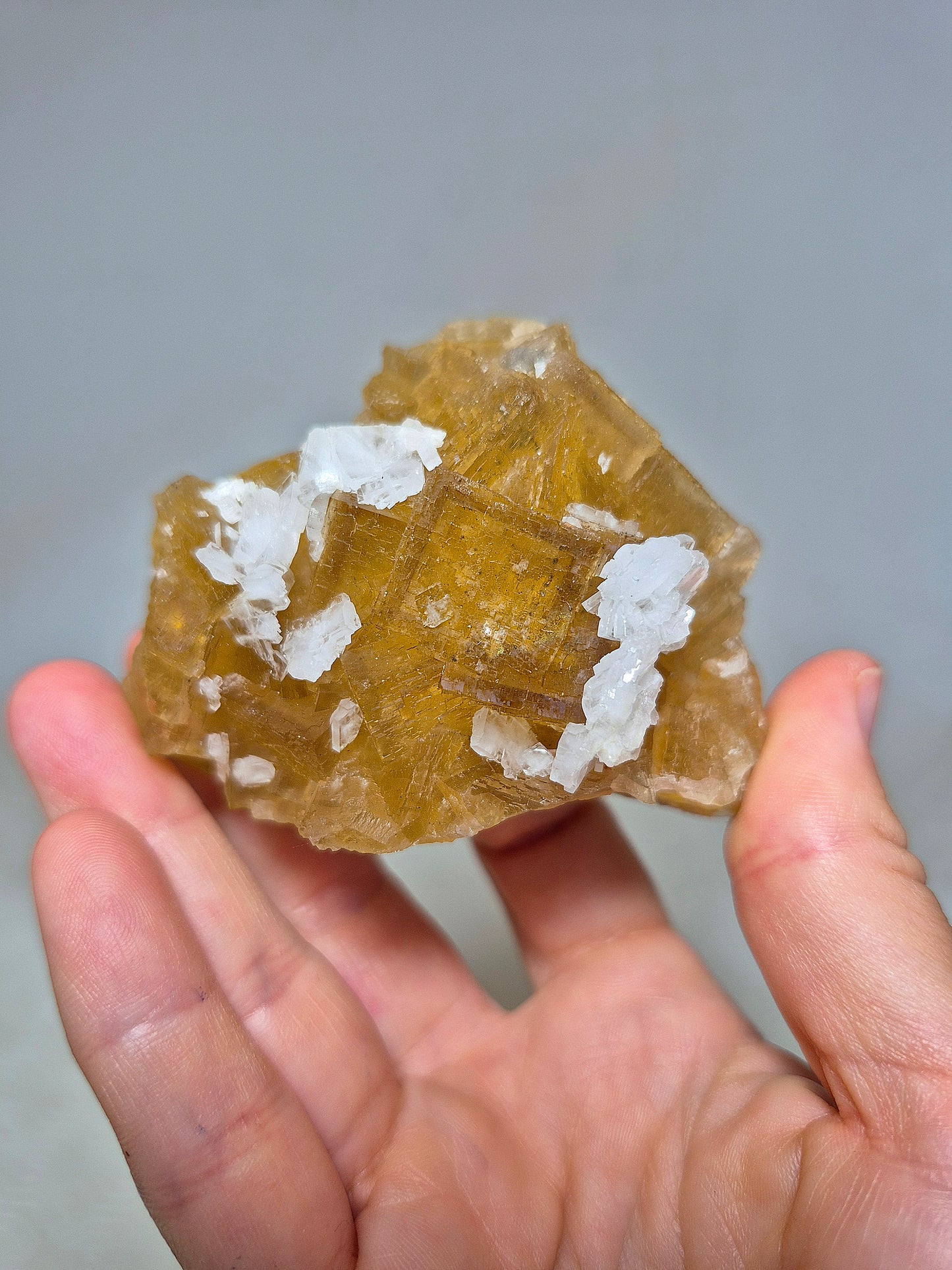 Fluorite Cubica Gialla con Barite