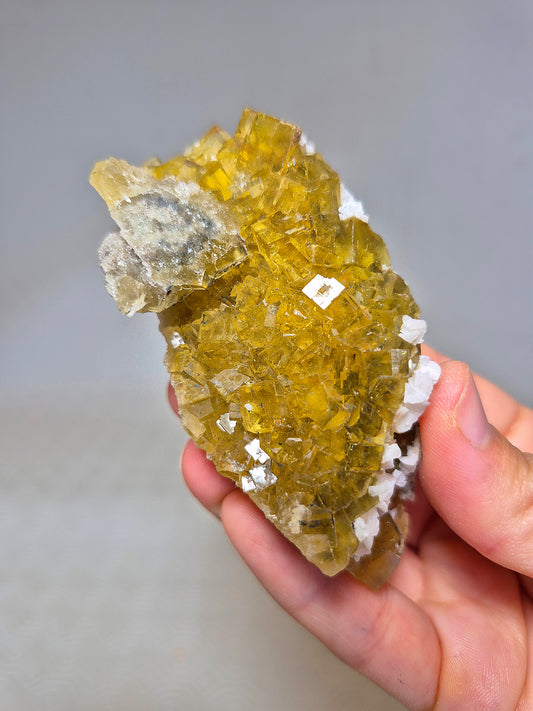 Fluorite Cubica Gialla con Dolomite