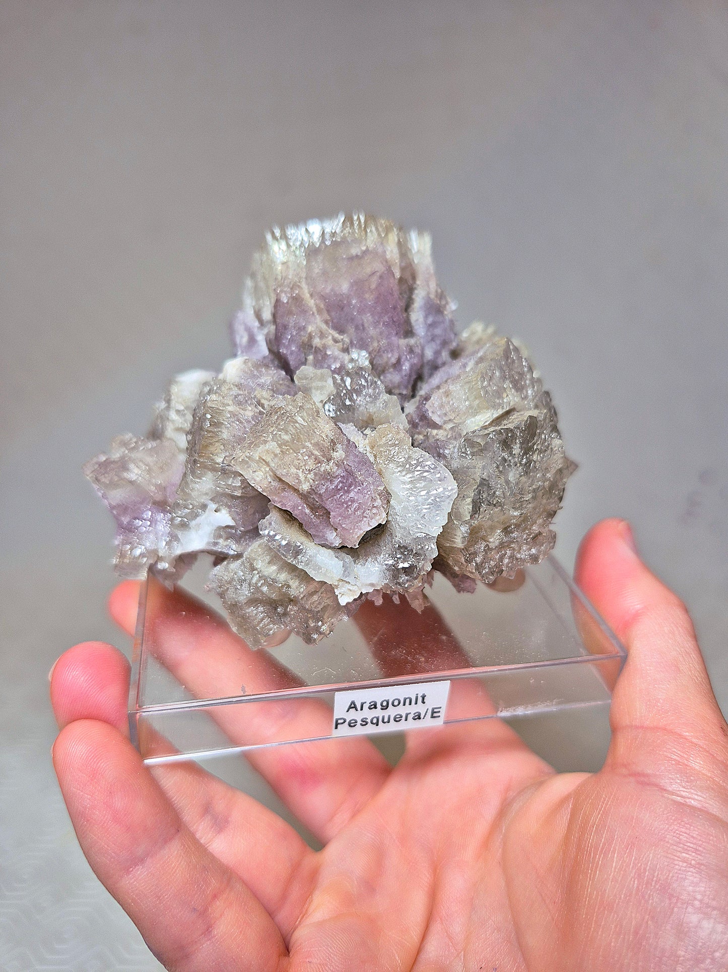 Aragonite Viola