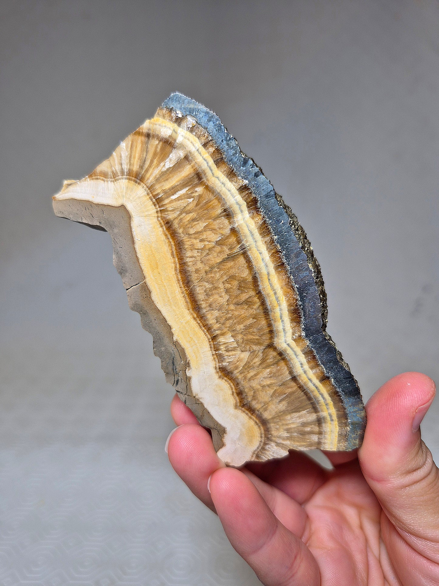 Fetta di Barite con Pirite Ottaedrica