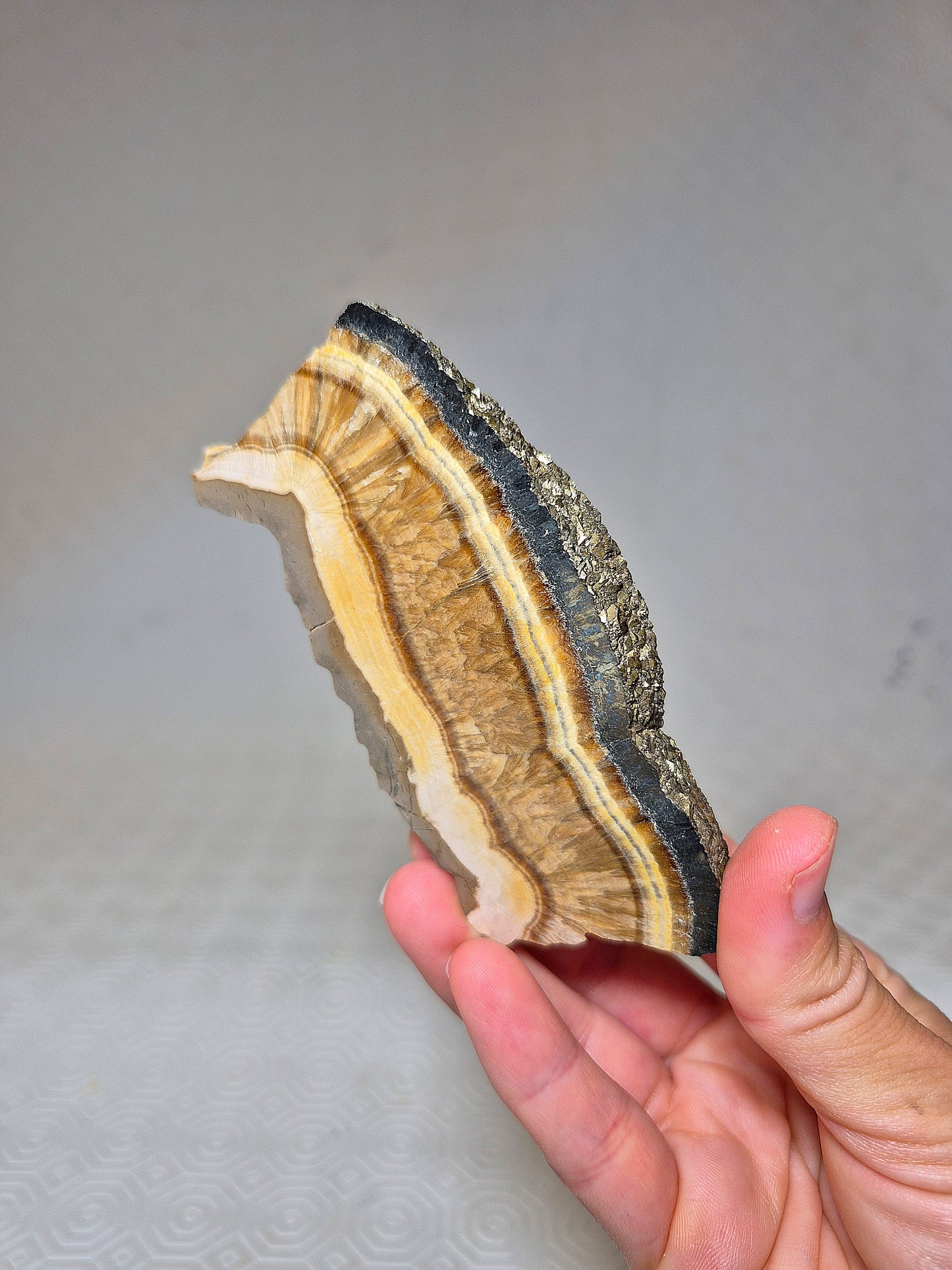 Fetta di Barite con Pirite Ottaedrica