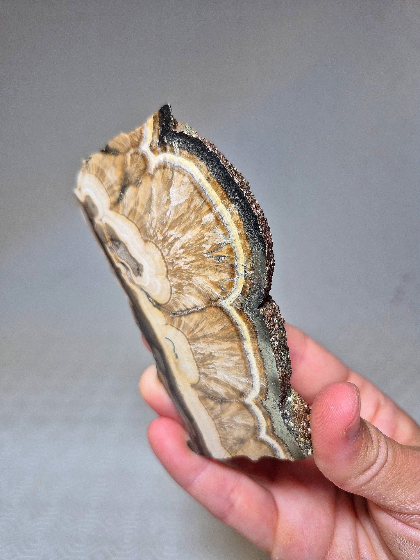 Fetta di Barite con Pirite Ottaedrica