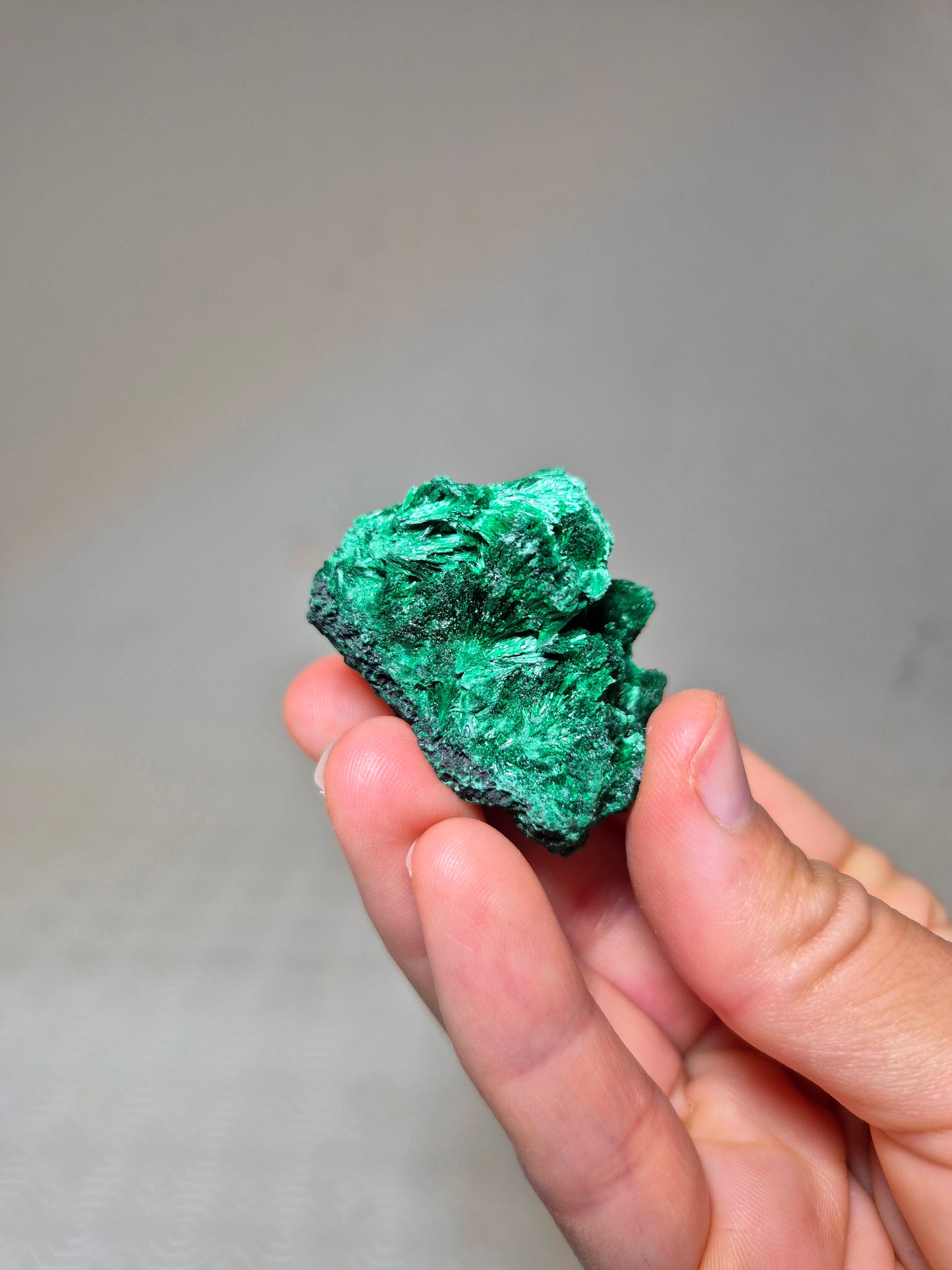 Malachite Fibrosa