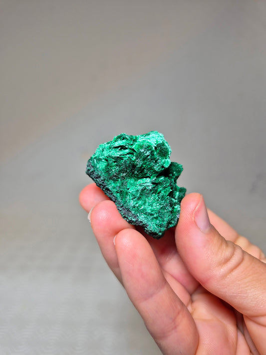 Malachite Fibrosa