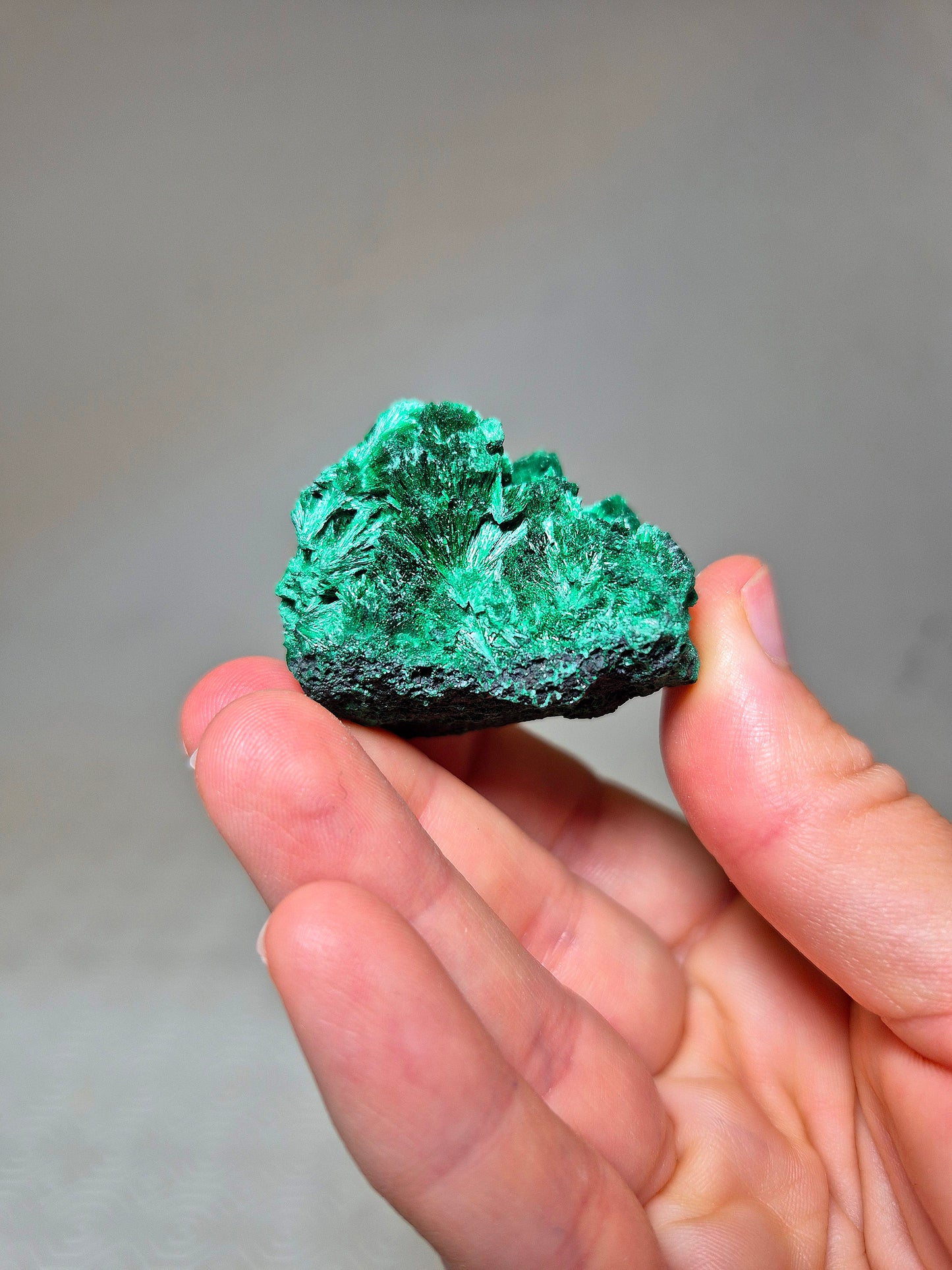 Malachite Fibrosa