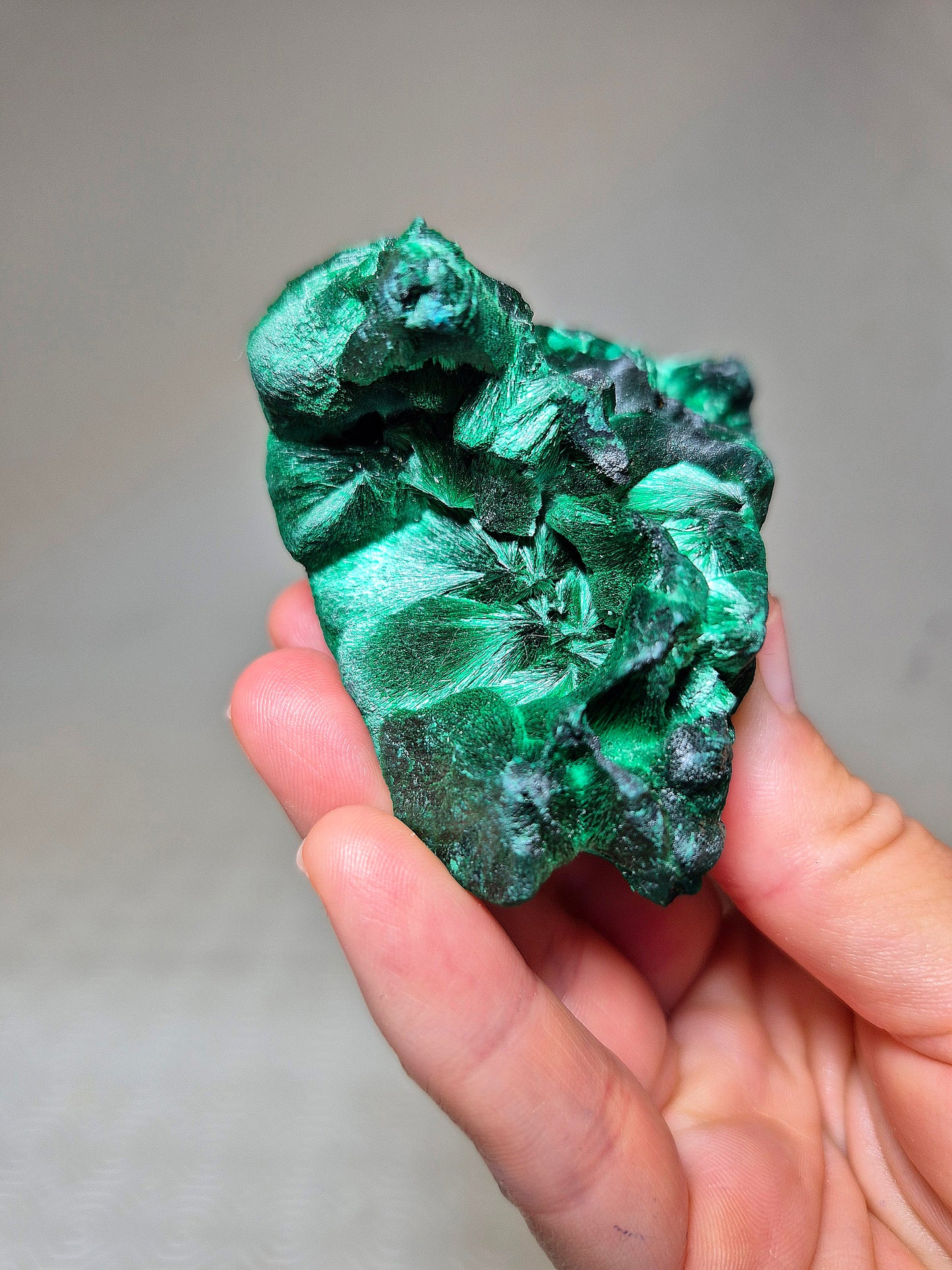 Malachite Fibrosa