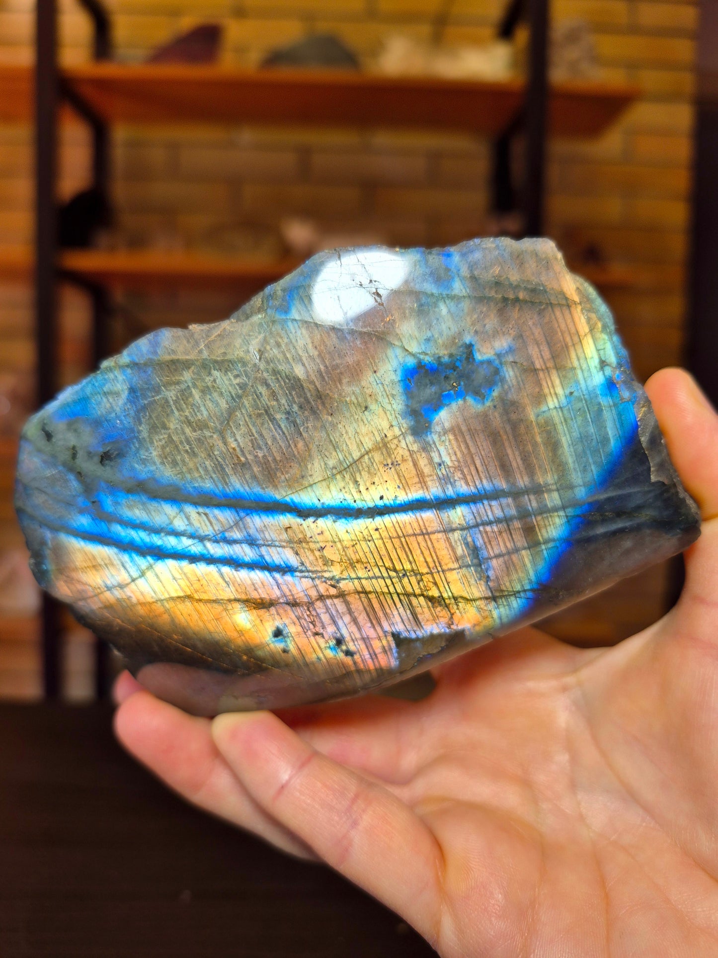 Forma Libera di Labradorite Semilucidata