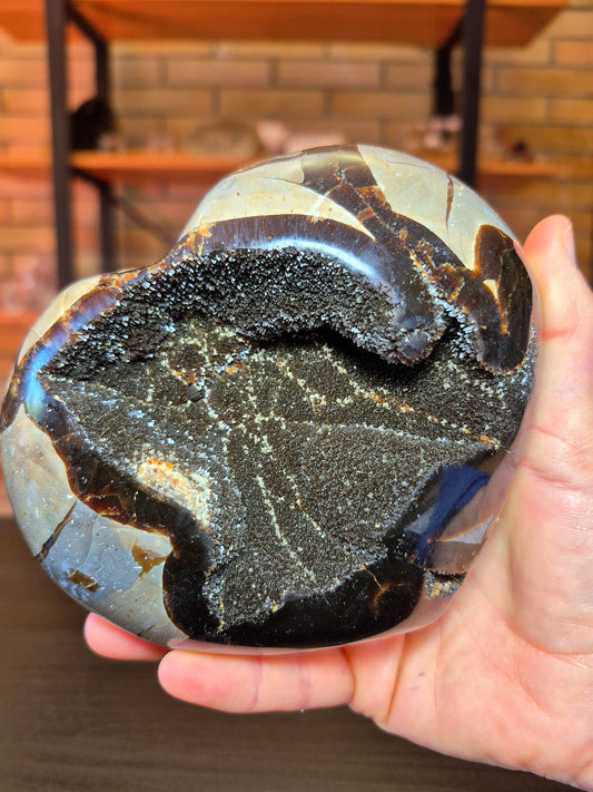 Cuore in Septaria