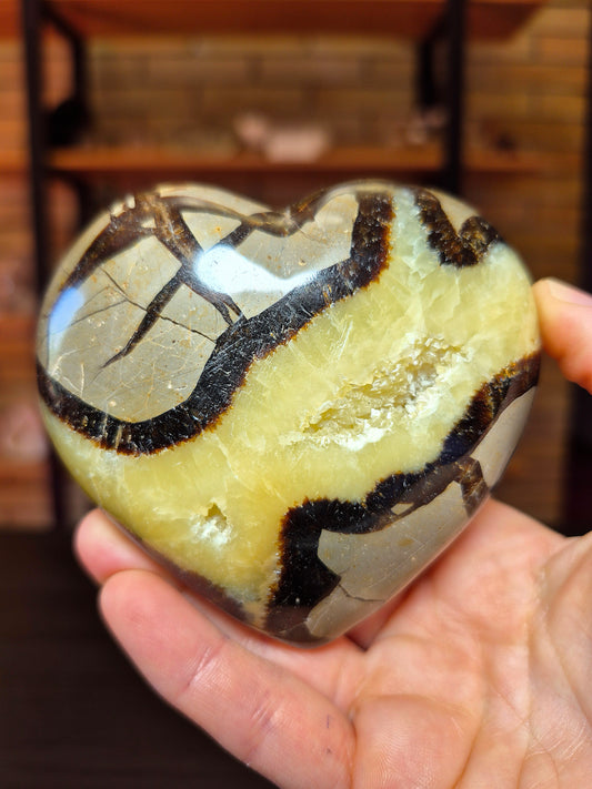 Cuore in Septaria