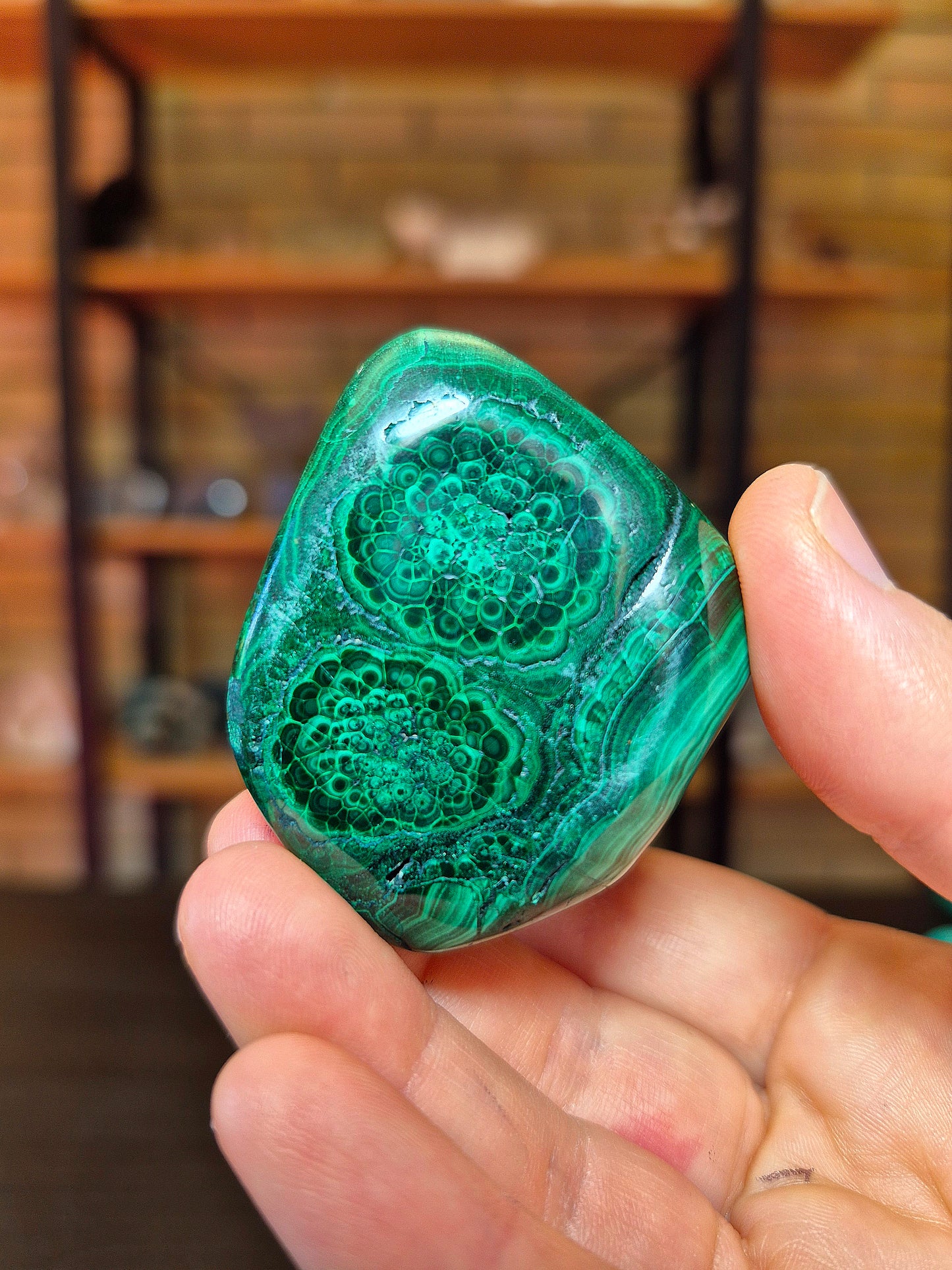Forma libera in Malachite